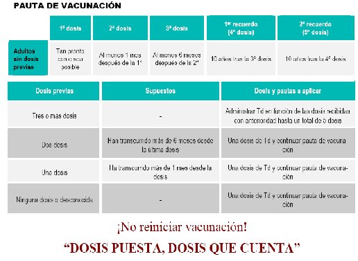 Pautas vacunación