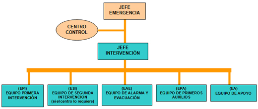 Esquema organización humana
